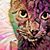 Tari Lynn's profile image