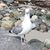 Kathy Robinson's profile image