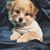Bailey Gonzalez's profile image