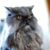 John Proctor's profile image