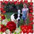 Shawntell Lofton-Kvale's profile image