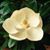 Linda Barrett's profile image