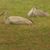 Georgeann Pettit's profile image