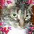 Beth Mew's profile image