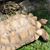 Maryjo Davenport Snavely's profile image