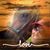 Denise Schwemlein Flores's profile image