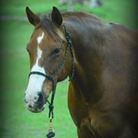 Judy Miller's profile image