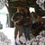 Melody Smith Mosbaugher's profile image