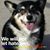 Raymond S. Wilkerson's profile image