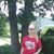 Dustin Comer's profile image