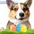 Sandy Watson's profile image