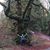 Laura S. Beving's profile image