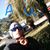 Kenneth Phillips's profile image