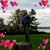 Tom Ovan's profile image