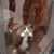 Mary Smith's profile image