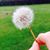 Layal Ghryani's profile image