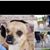 Eileen Naughton's profile image