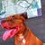 Samantha Martens's profile image