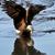 Jody Green's profile image