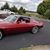 Debra Hahn Shoup's profile image