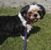 Denise Gaskins Blount's profile image