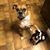 Jonna Van Cise's profile image