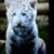 Margaret Shoup's profile image