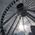 Rachel Herrera-Lingenfelter's profile image