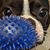 S Lynn Frampton's profile image