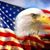 Andrea Bedners's profile image