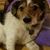 Rebecca Gael Jung's profile image