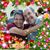 Cathy Myers Meis's profile image