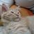 Helene MacMillan's profile image