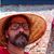 Merl Miles's profile image