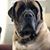 Chuck Striler's profile image