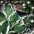 Tricia Borchardt's profile image