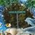 Beth Keown Scism's profile image