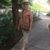 Alyce Bridges's profile image