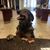 Tammy Borde's profile image