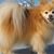 Mary Etta Eyth's profile image