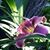 Pamela Hardin's profile image