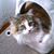 Patti Beam Yarbrough's profile image