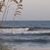 Sue Lowman Bounds's profile image