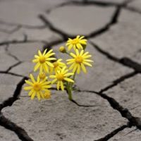 Cindy Schultz's profile image