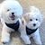 Susie Cleek's profile image