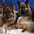 Marsha Kirn-Gleason's profile image