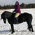 Michelle Gall's profile image