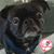 Lisa Koch-Rocheleau's profile image