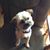 Sherry Sigsbee's profile image