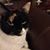 Yvonne Taylor's profile image